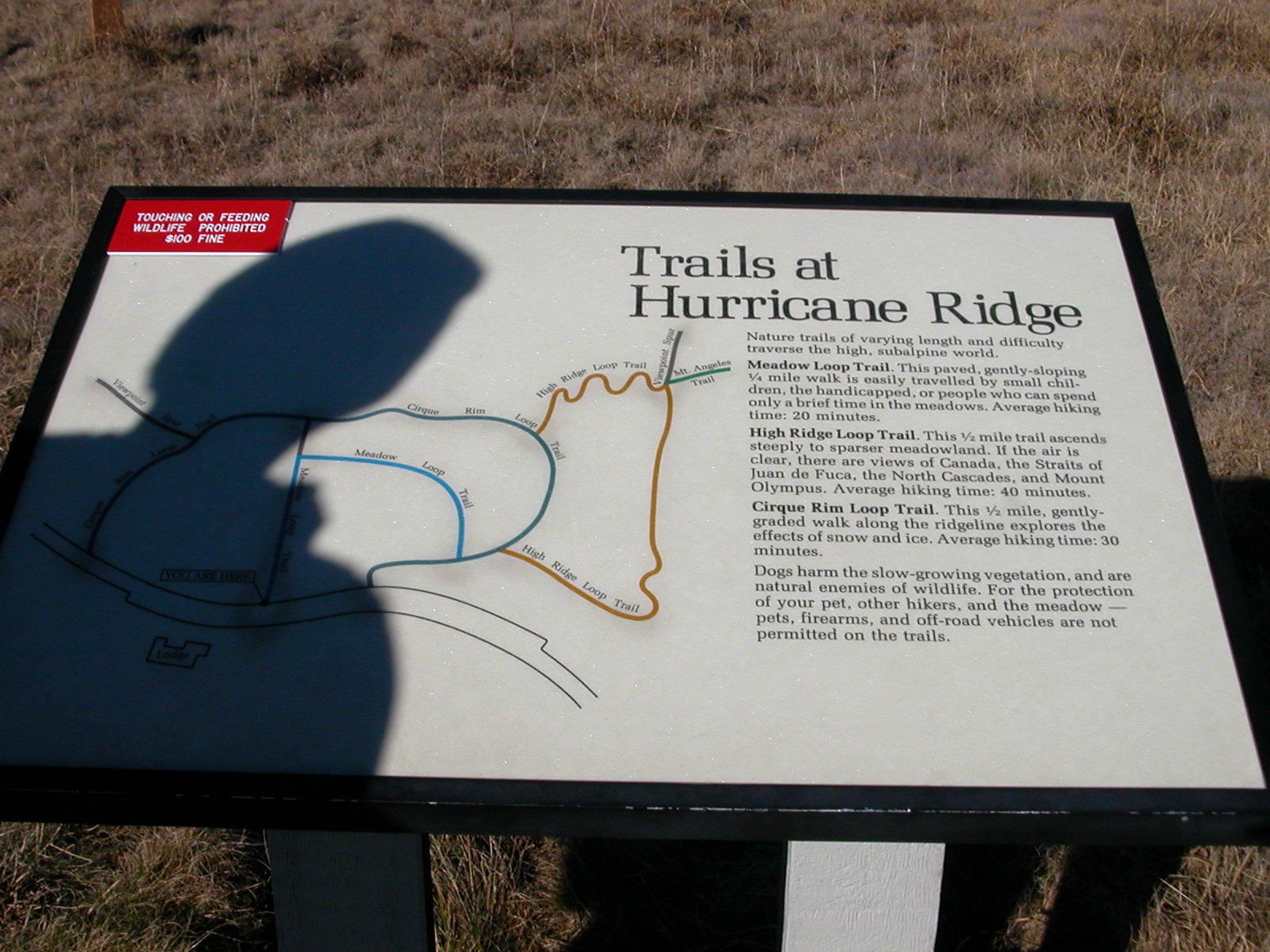 Trail of Hurrican Ridge